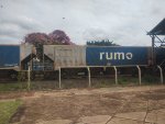 RUMO HPT-031947-3